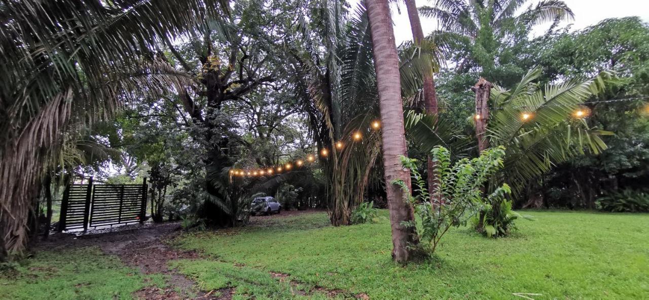 Armadillo Eco Bungalows - Santa Teresa Playa Santa Teresa (Puntarenas) Exterior foto