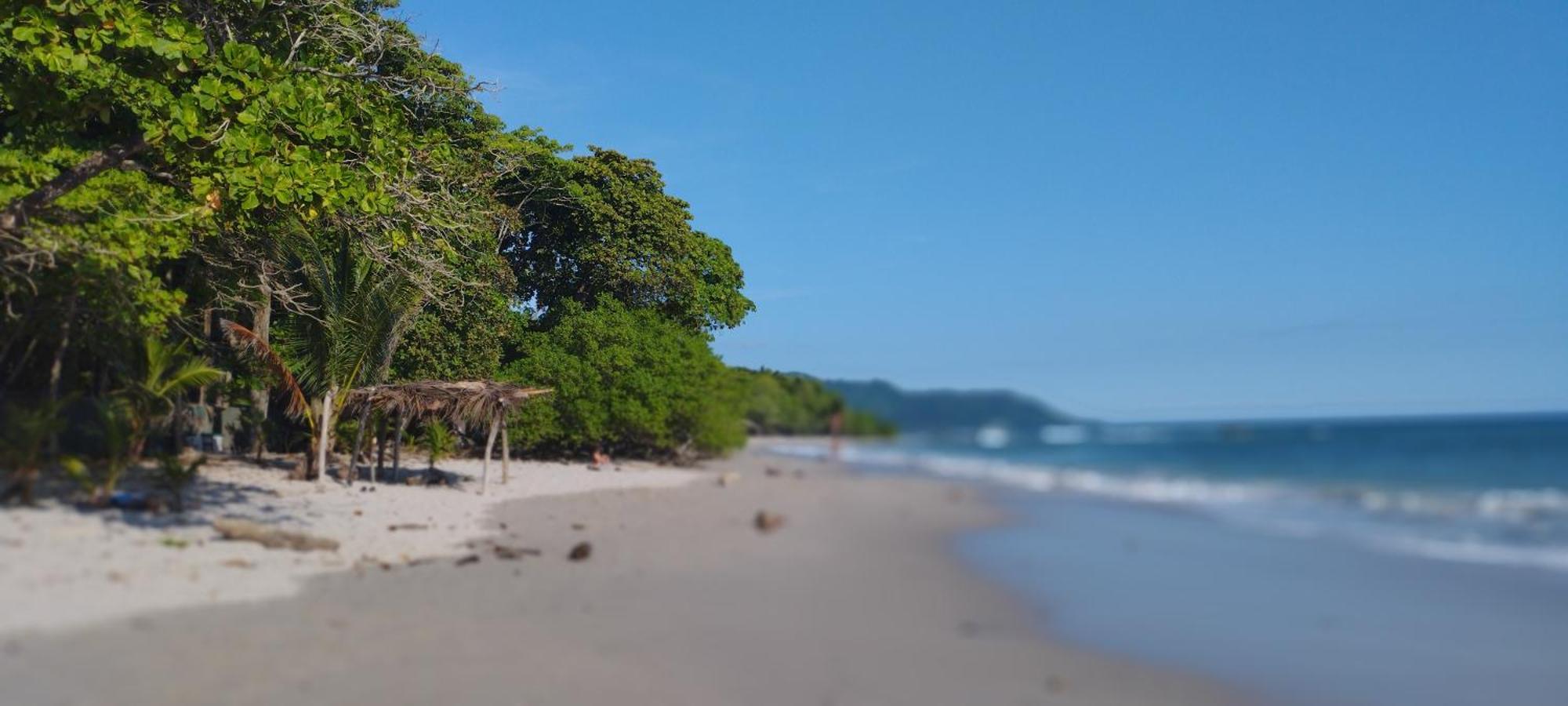 Armadillo Eco Bungalows - Santa Teresa Playa Santa Teresa (Puntarenas) Exterior foto