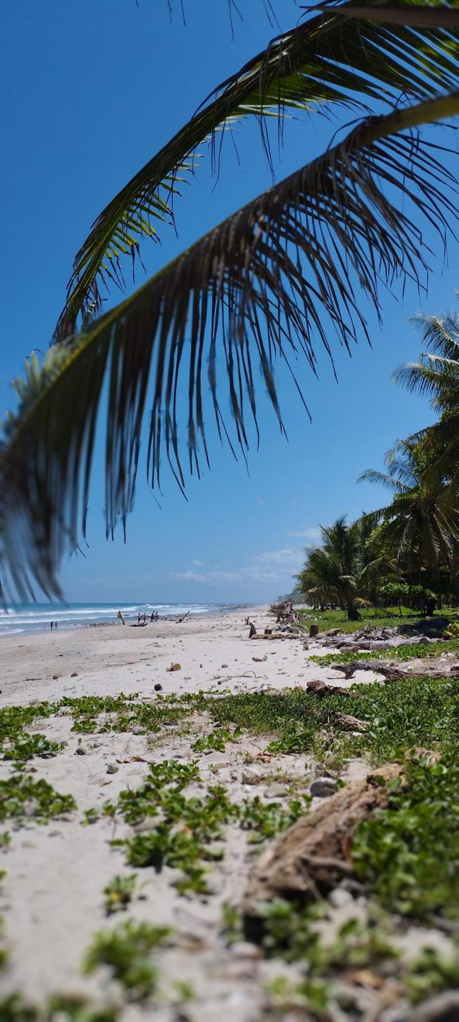 Armadillo Eco Bungalows - Santa Teresa Playa Santa Teresa (Puntarenas) Exterior foto